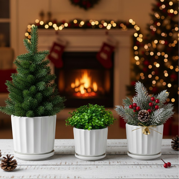 Three potted plants on a table with a fireplace and Christmas tree in the background with 3-Piece White Ceramic Planter Pot Set with Fluted Design & Saucers