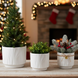 Three potted plants on a table with a festive background featuring stockings and lights 3-Piece White Stoneware Planter Pot Set with Embossed Texture