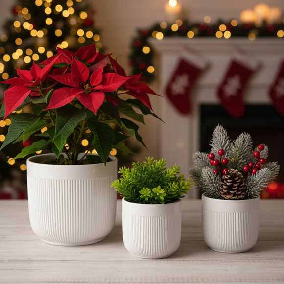 Three potted plants on a table with a festive background featuring Christmas lights and stockings 3-Piece White Stoneware Planter Pot Set with Vertical Line Texture