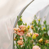 Pink flowers with green leaves in a DIY Portable Low Tunnel Kit