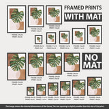 Collection of framed prints with and without mats, showing frame dimensions.