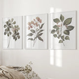 Three botanical prints on a wall with a neutral color scheme.