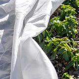 Frost Blankets