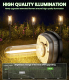 High-quality illumination bulb with extended filament in a garden setting