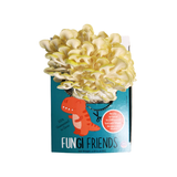 Fungi Friends product packaging with a cartoon dinosaur illustration on a white background
