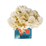 Packaged mushrooms with 'Fungi Friends' branding on a white background
