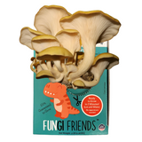 Fungi Friends product packaging with a dinosaur illustration on a white background