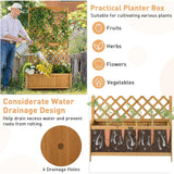Outdoor Fir Wood Raised Garden Bed Planter Box with 71-inch High Trellis - FREE SHIPPING