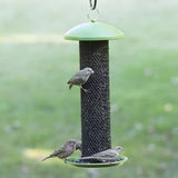 Outdoor Metal Mesh Tube Hanging Bird Feeder with Green Top and Perch - FREE SHIPPING