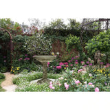 Outdoor Fiberglass Bird Bath in Aged Granite Stone Finish - FREE SHIPPING