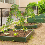 2 Pack - 7-ft Galvanized Steel Outdoor Garden Trellis in Green Metal Finish - FREE SHIPPING