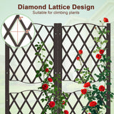 Black diamond lattice design trellis with climbing red roses on a light green background