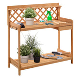 Wooden gardening workbench with plants, tools, and a spray bottle on a white background