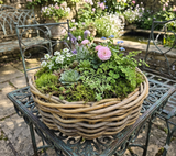Woven basket with plants on a metal table in an outdoor setting