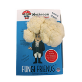 Mushroom-shaped George Mushington - Lion's Mane Mushroom Grow Kit on a packaging box labeled 'Fungi Friends' with branding elements.