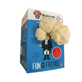 Mushroom-shaped George Mushington - Lion's Mane Mushroom Grow Kit with packaging labeled 'Fungi Friends' on a white background