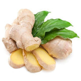 Ginger root with green leaves on a white background