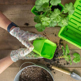 Person planting a green plant in soil on a wooden surface 3.3" Heavy Duty Seed Starting Pots