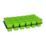 Green seedling trays on a black tray with a white background