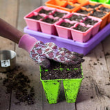 Person wearing gardening gloves holding a green seedling tray with soil, surrounded by other seedling trays on a wooden surface.
