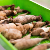 1020 Mesh Deep Extra Strength Colors - 2.5" Deep