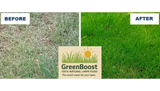 Before and after comparison of a lawn with GreenBoost fertilizer.