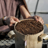 Person holding a 2 Gal Grow Bag - Tan filled with soil