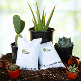 Two compostable bags with plants and pots on a natural background Cactus and Succulent Growers Soil
