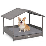 Dog sitting on a gray pet bed with canopy on a white background