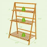 3-Tier Bamboo Foldable Plant Stand with Display Shelf Rack-Natural - Color: Natural