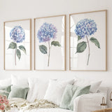 Three framed prints of blue hydrangeas on a wall above a white sofa.