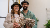 Premium Blue Oyster Mushroom Fruiting Block Grow Kit - 5 LBS
