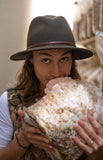 3 Pack - Premium Lion's Mane, Pink, and Blue Oyster Mushroom Fruiting Block Grow Kits - 15 LBS