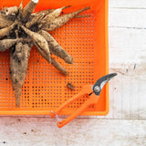 Orange cutting board with roots and a pair of orange garden shears on a wooden surface.