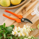 Orange garden shears on a wooden surface with lemons and flowers.
