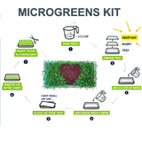 An illustrated how-to graphic for a microgreens kit titled 'MICROGREENS KIT,' showing numbered steps around a central growing tray with green microgreens and a dark heart-shaped center. Text includes soak seeds, prepare tray, add soaked seeds & water, place lid over tray, remove lid after 3 days, leave small air gap, and ready to eat in 4 more days.