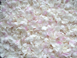 A dense pile of white and light pink rose flower petals filling the frame.
