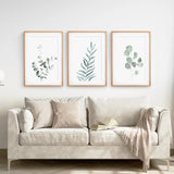 Beige sofa with decorative pillows and a blanket, featuring three framed Watercolor Botanical Set of 3 Prints Wall Decor on a white wall.