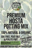 Advertisement for premium hosta potting mix with branding and product details.