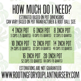 Amaryllis Premium Potting Mix