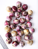 Mixed Hyacinths - 30 bulbs