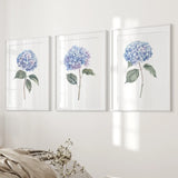 Three framed prints of blue hydrangeas on a white wall.