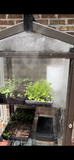 Janco Indoor/Outdoor Garden Cabinet with seedlings inside against a brick wall.