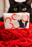 CAT SOAP SLICE 5.5 oz.