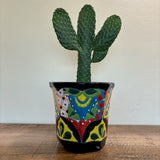 Decorative pot with a Cowboy Prickly Pear cactus on a wooden surface and white background