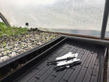 Black plastic trays with white labels on a greenhouse bed with plants. Widger Dibber Set