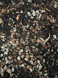 Close-up of Premium Super Chunky Extra Grit Houseplant Soilless Potting Mix - Perfect for Overwaterers!
