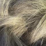 Close-up of Stipa grass