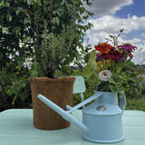 Potted rosemary and blue watering can on a table with a garden and sky background