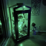 Janco Indoor/Outdoor Garden Cabinet with glowing green lights in a dimly lit room.